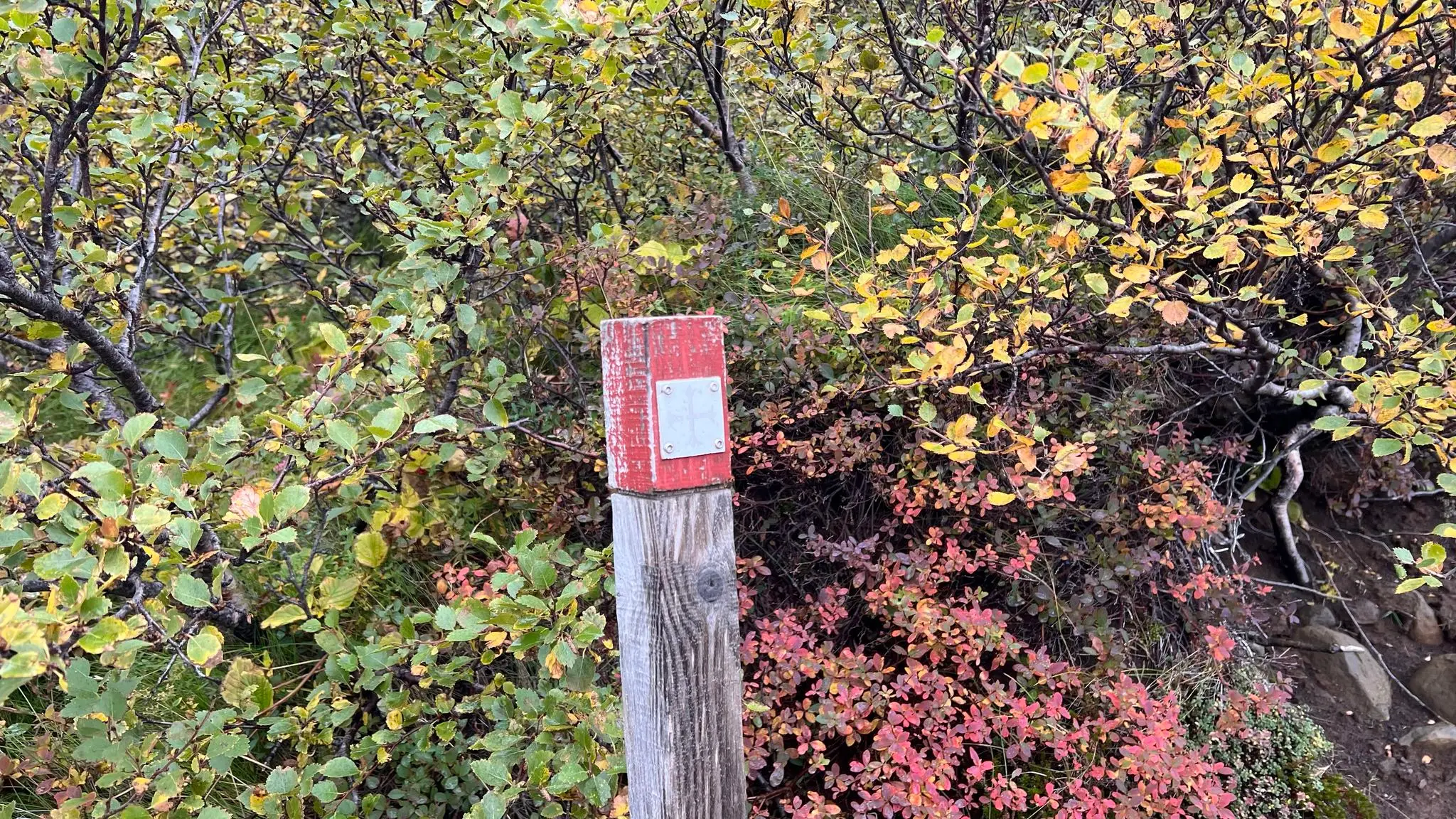 Trail markers