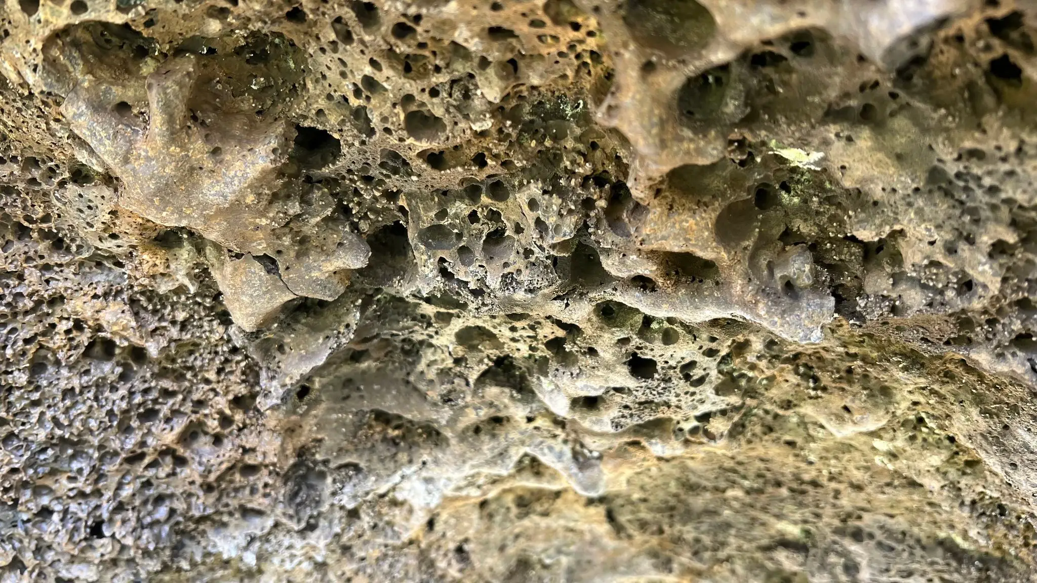 Vesicular texture on the ceiling