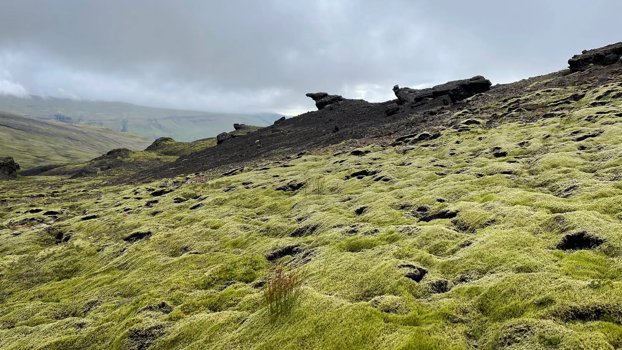 Mossy terrain on lower slopes
