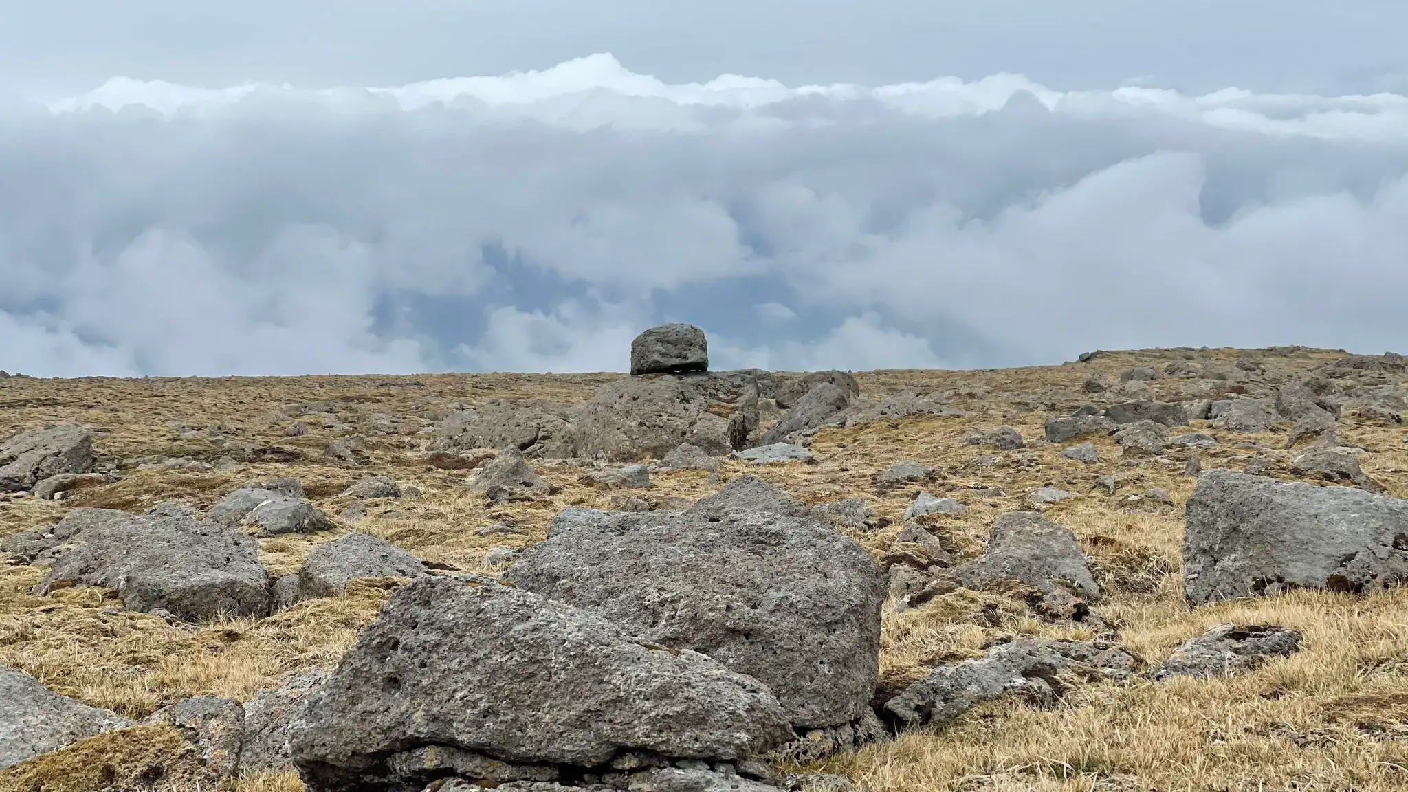 Boulder field