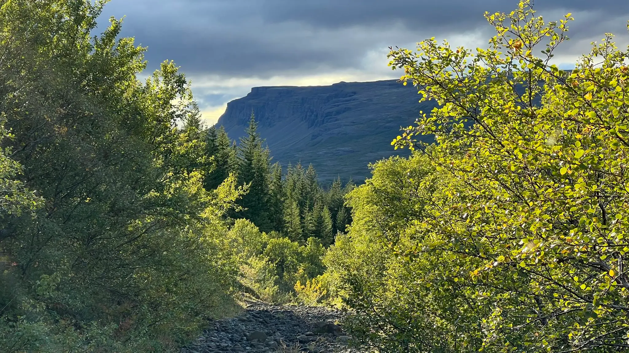 Leggjabrjótur passes through mixed wood forest