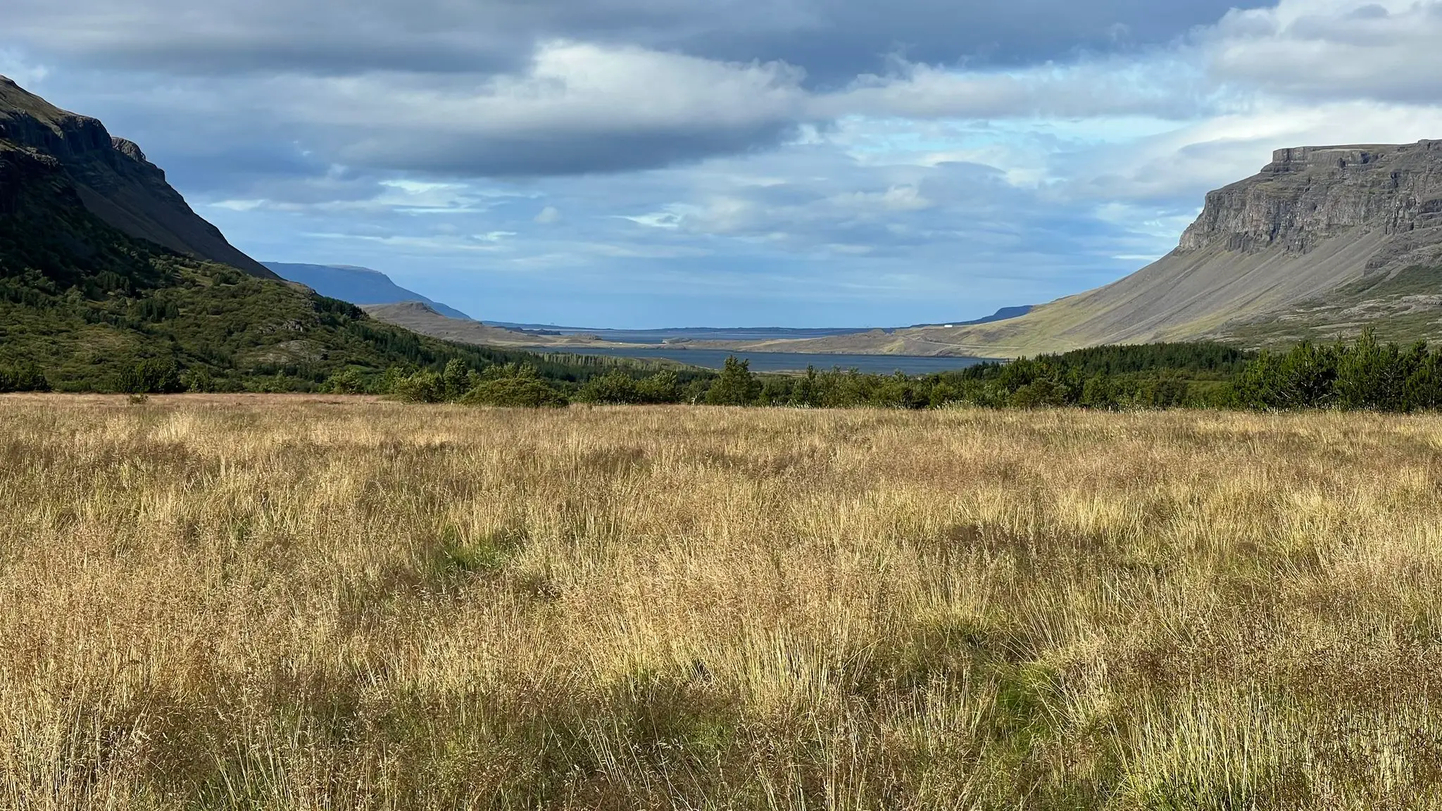 Meadow near the end