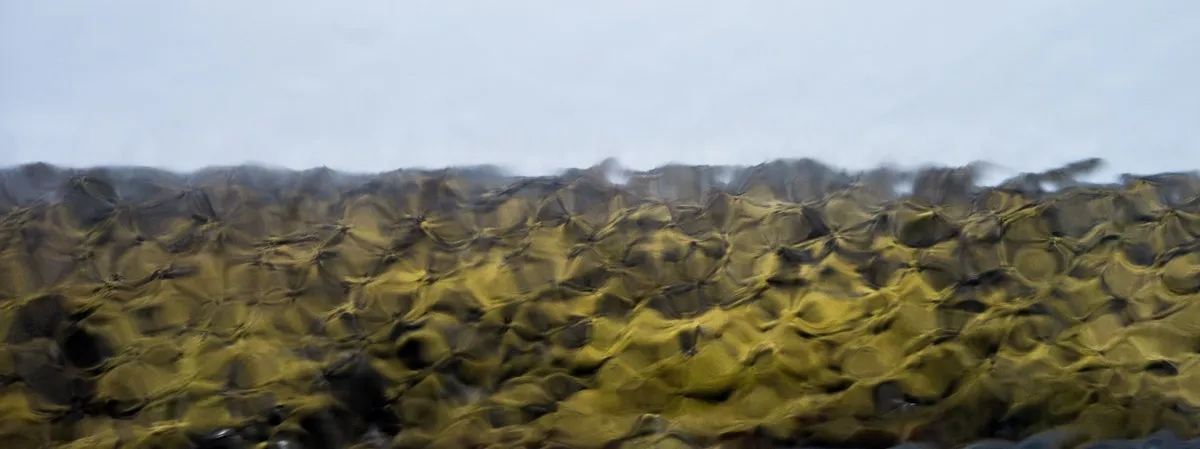 Rain on the windshield over a moss-covered lava field