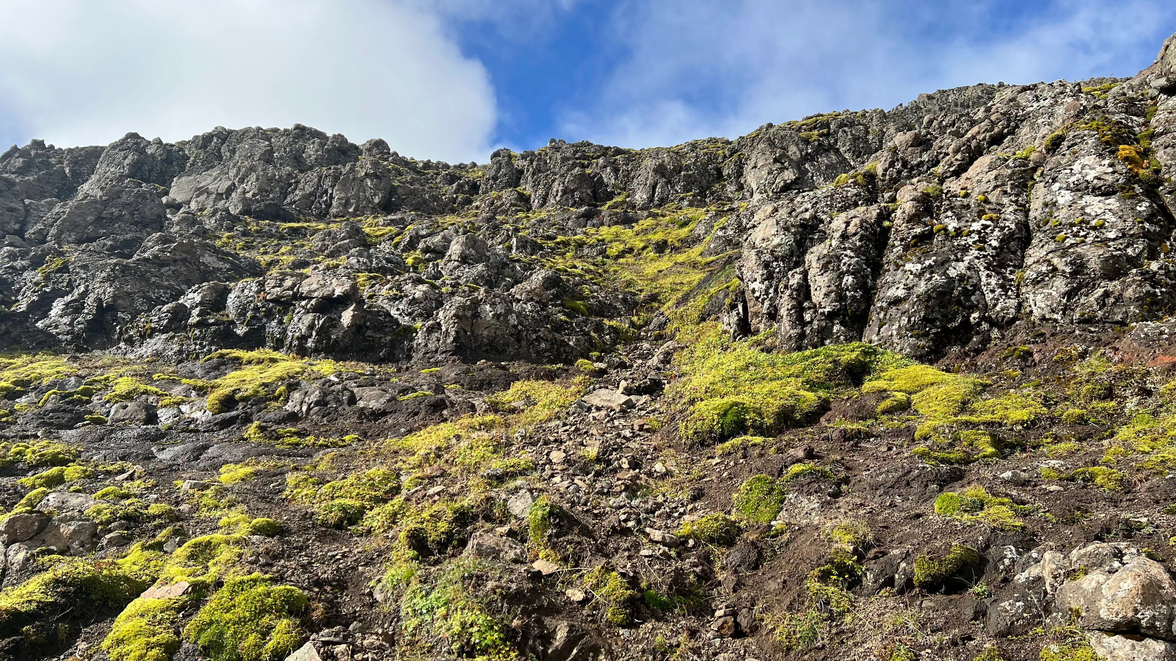 A steep mountainside topped by successive belts of broken rock, moss and scree below