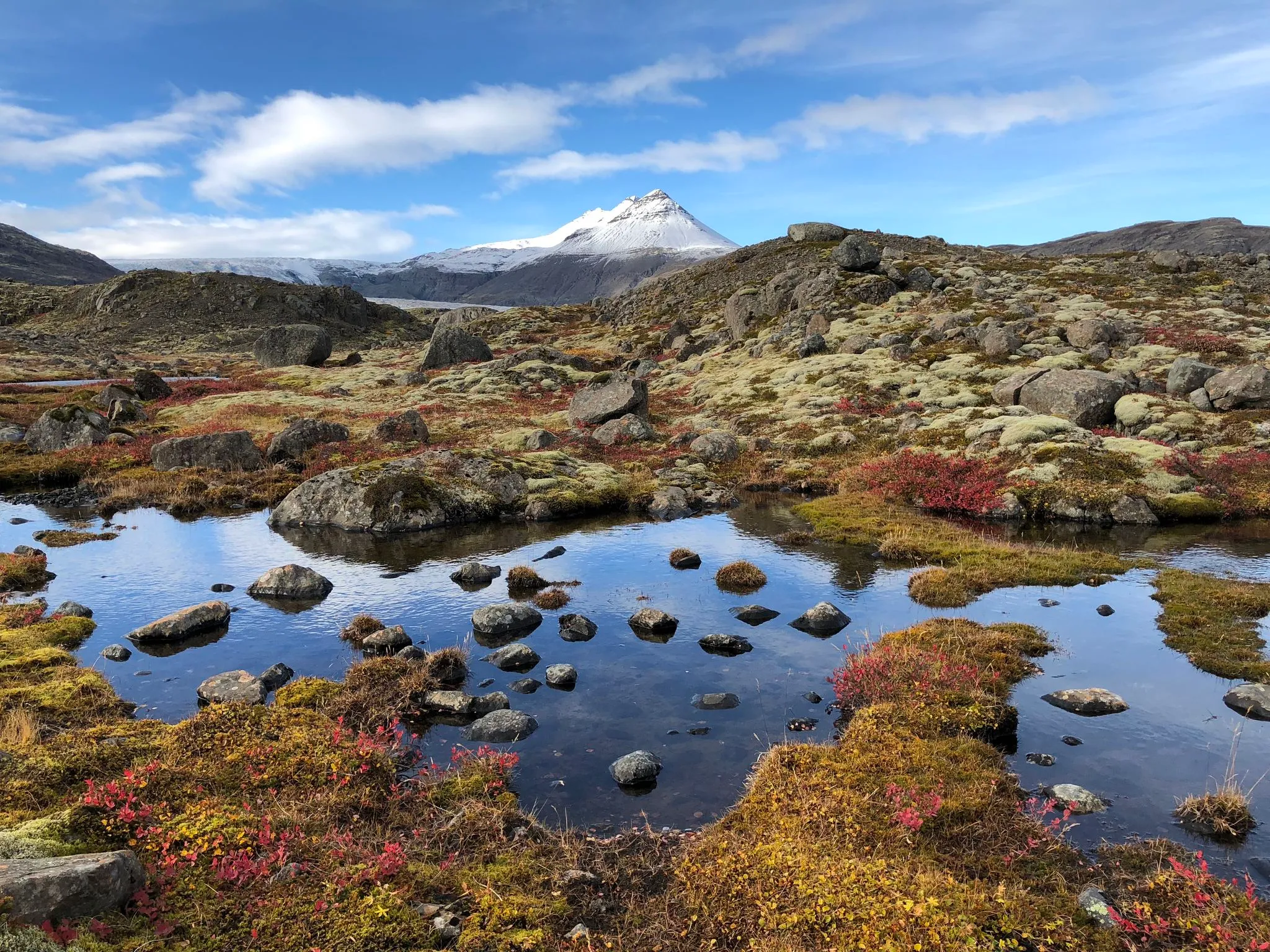 Autumn moor pooled with water, red and gold under a snow-dusted peak