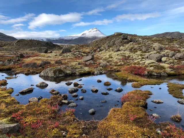 Autumn moor pooled with water, red and gold under a snow-dusted peak