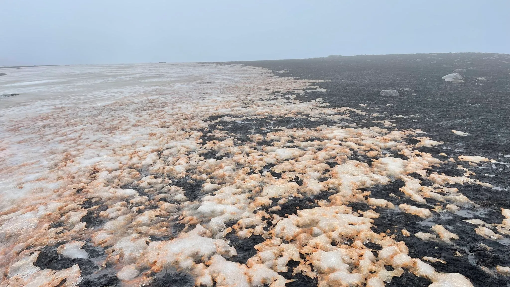 Rotten snow patches on black volcanic ground at the melt line in fog